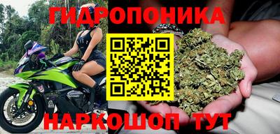 бошки Донской