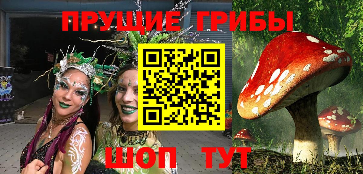 Галлюциногенные грибы Psilocybine cubensis  Вход с VPN  купить закладку  Мирный 